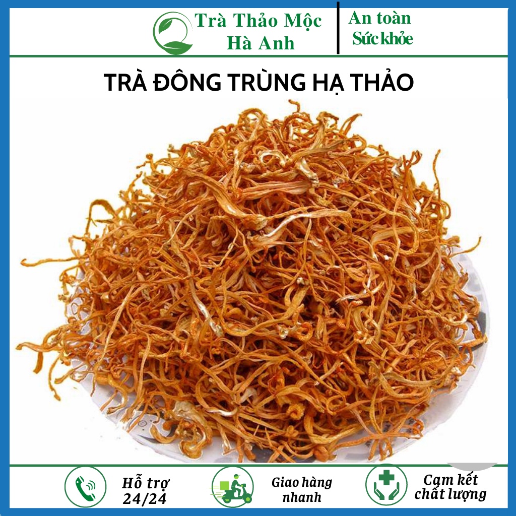 Trà đông trùng hạ thảo, đông trùng hạ thảo khô sấy thăng hoa, loại thượng hạng 500 gr