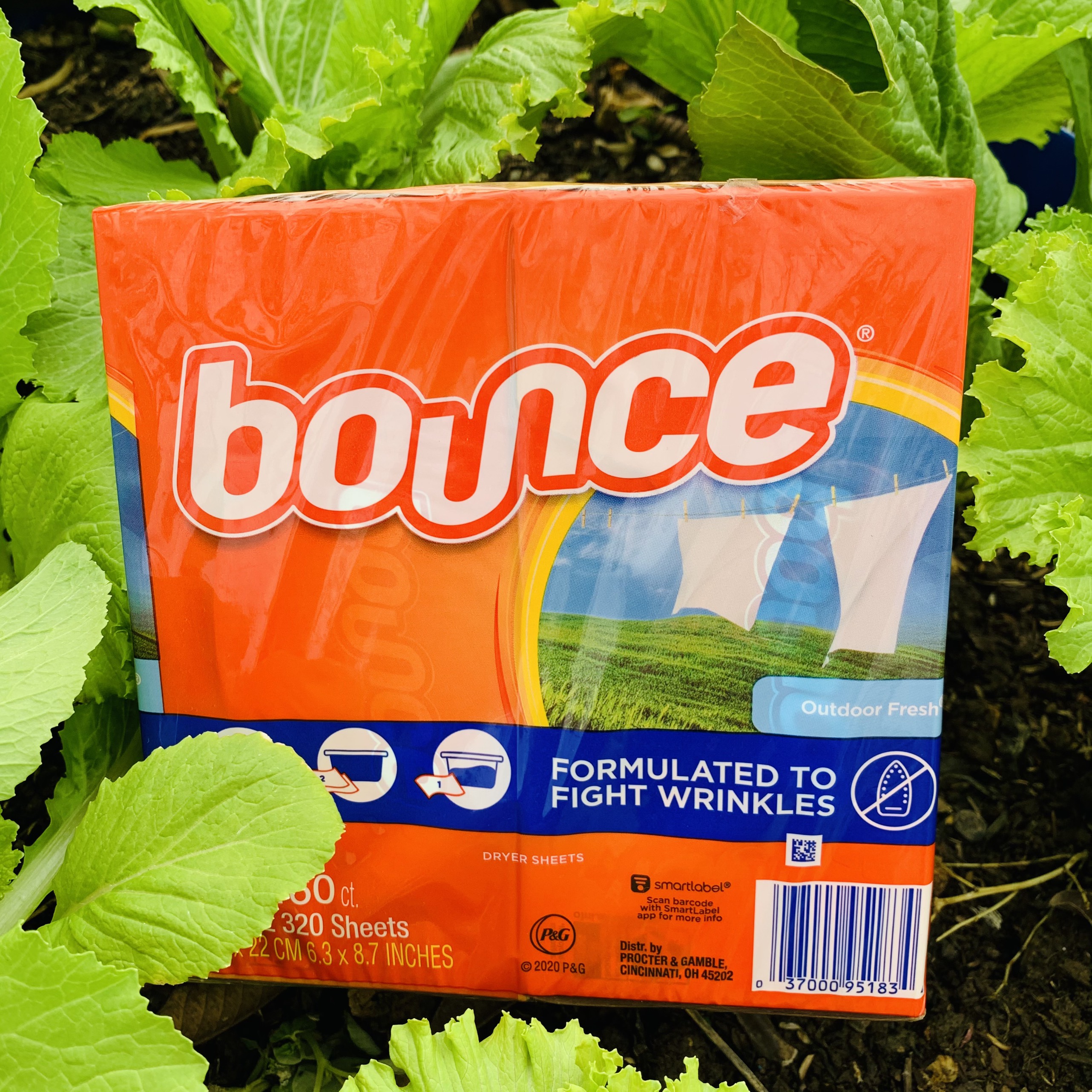 Set 10 tờ - 50 tờ Giấy Thơm Quần Áo BOUNCE IRONLESS MỸ - Macxinh