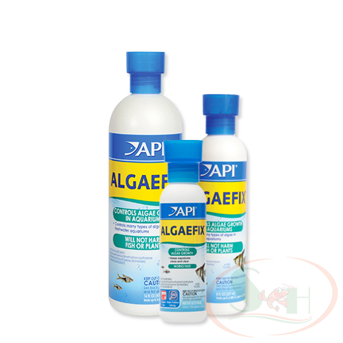 Diệt rêu tảo hại api algaefix