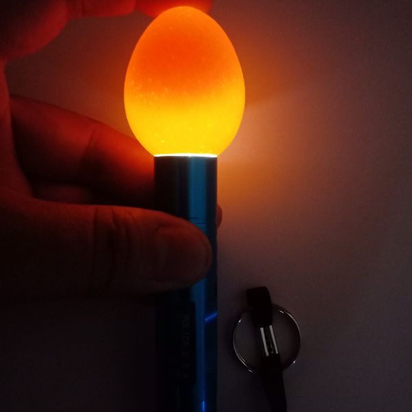 Đèn pin soi trứng chuyên dụng