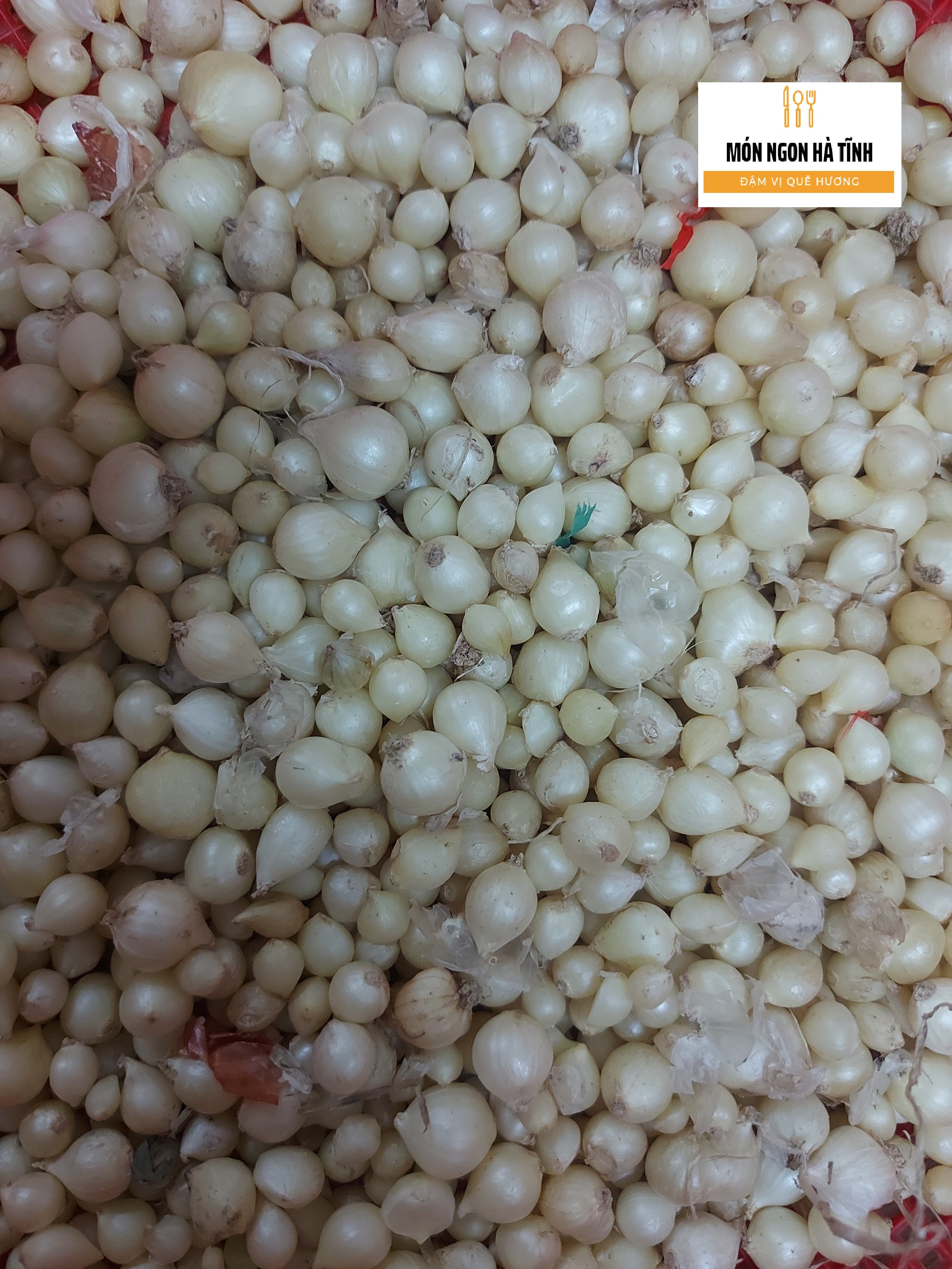 1kg Hành Tăm. Củ Nén. Loại nhỏ nhà trồng cực kỳ thơm.