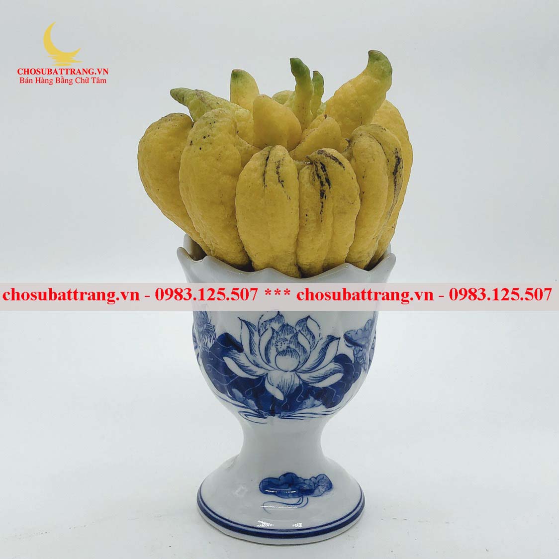 Ly đựng phật thủ xanh lam trên bàn thờ