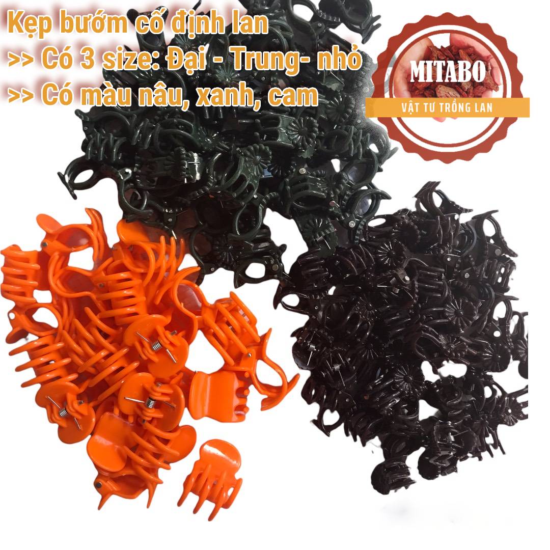 Combo 50 kẹp bướm hoa lan dùng kẹp lan size nhỏ size trung size to hàng đảm bảo chất lượng Mitabo