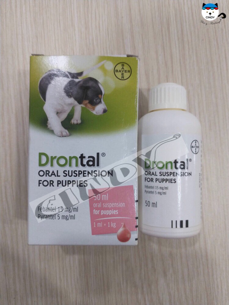 Chai xổ giun cho chó nhỏ Drotal dạng nước