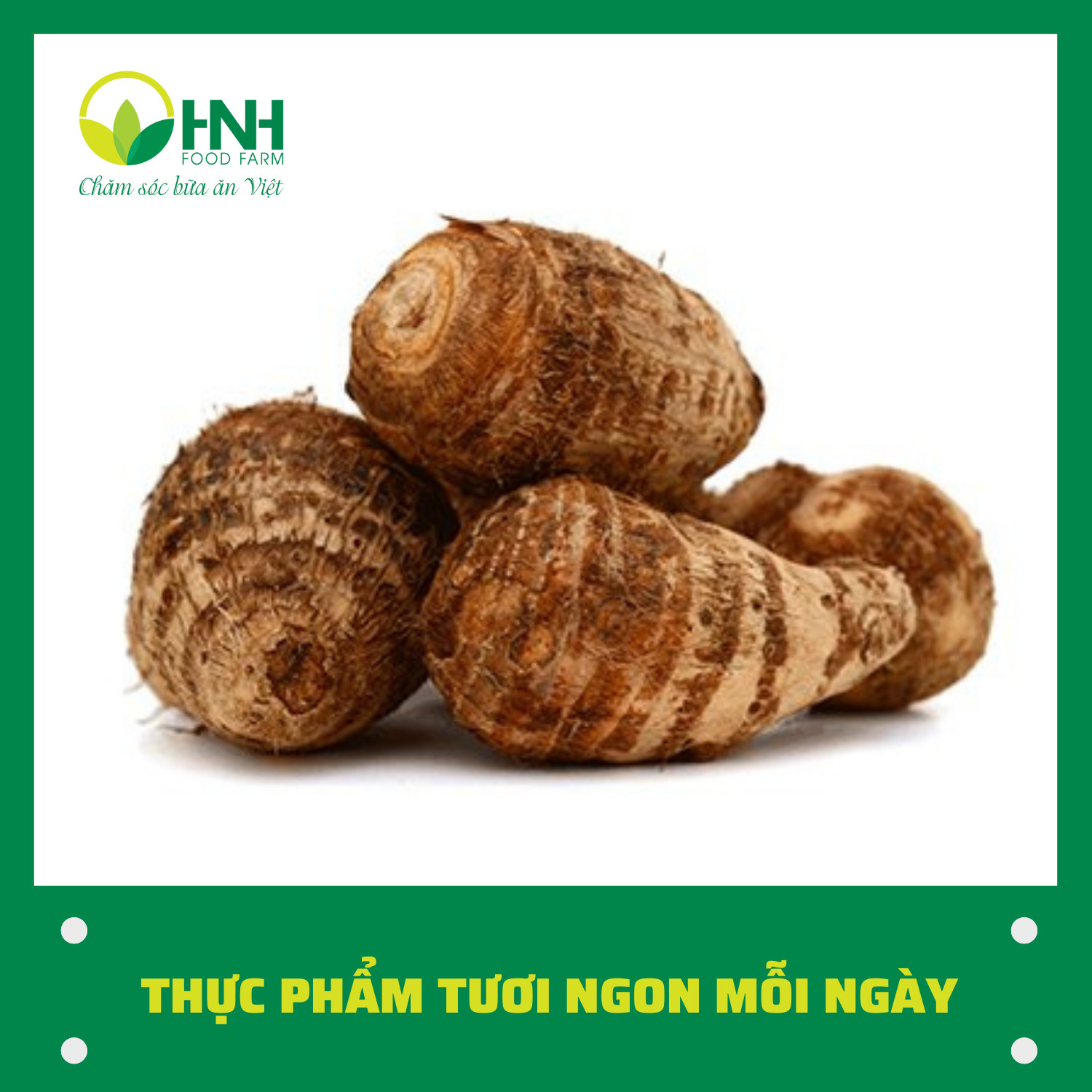 [CHỈ GIAO HÀ NỘI] Khoai sọ sạch ngon trợ giá mùa dịch - HNH Food Farm