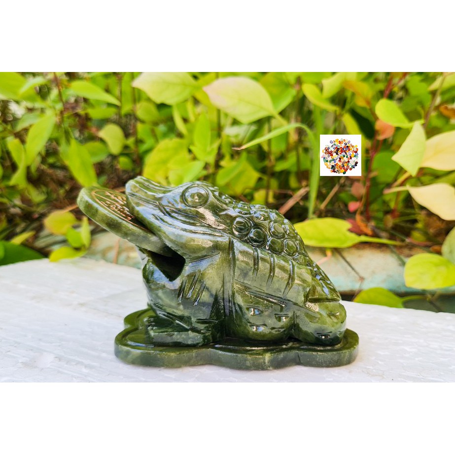 Cóc đá Lam Ngọc Serpetine dài 10cm