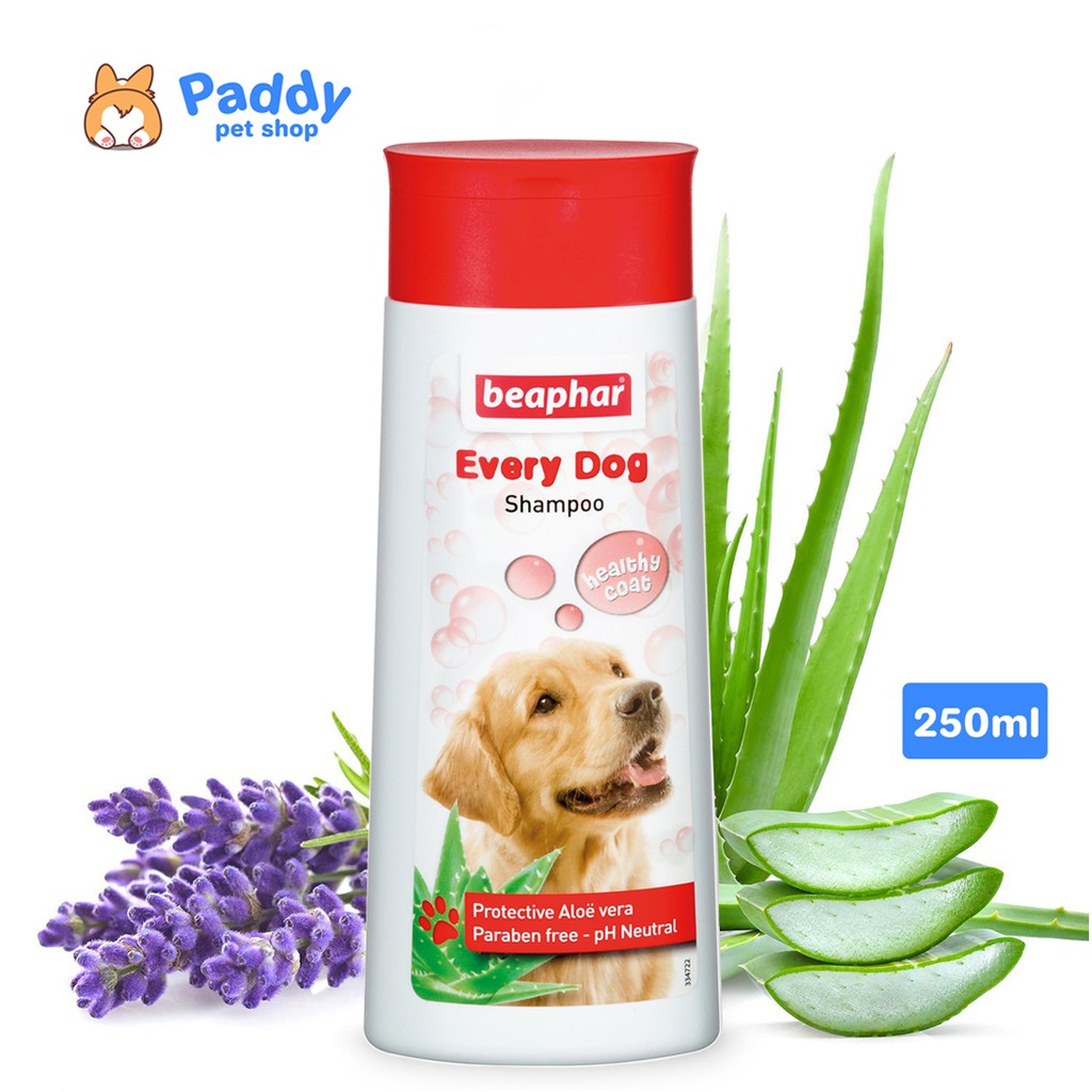 Sữa Tắm Cho Chó Beaphar Every Dog Healthy Coat