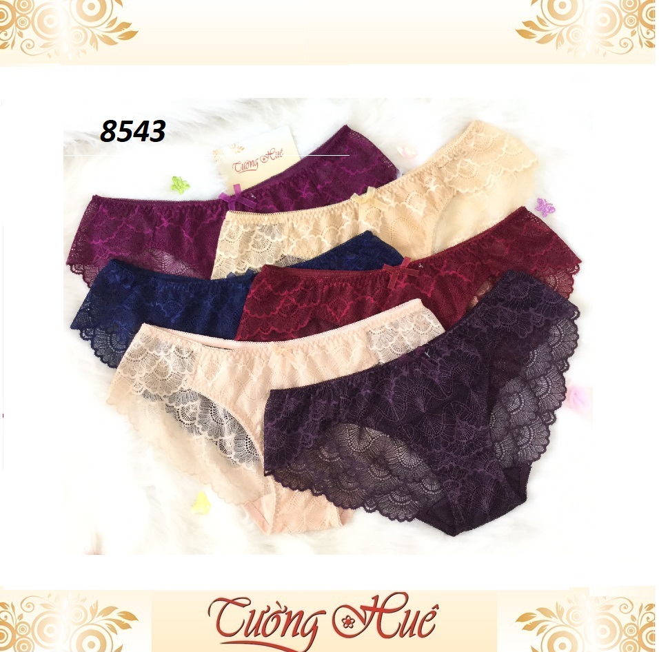 Quần lót nữ annie qe8543 ren.