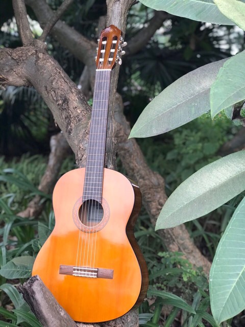 Đàn guitar Classic Yamaha C70//02 Chính hãng Bảo hành 12 tháng