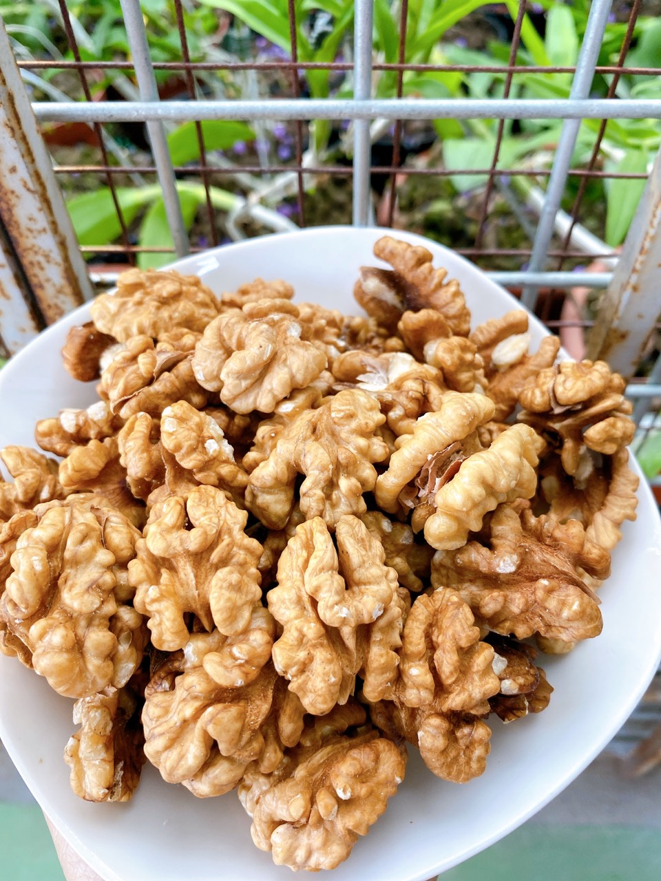 1kg Nhân óc chó vàng Mỹ đã tách vỏ sống làm sữa hạt - tốt cho mẹ bầu và trẻ em