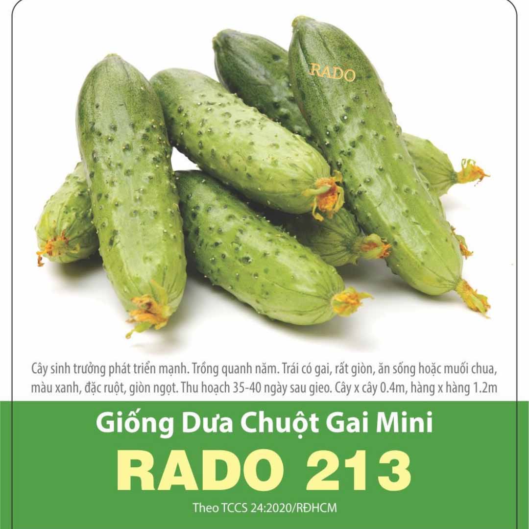 Hạt giống dưa chuột chùm mini siêu trái gói 1gram - Hạt Giống Rạng Đông
