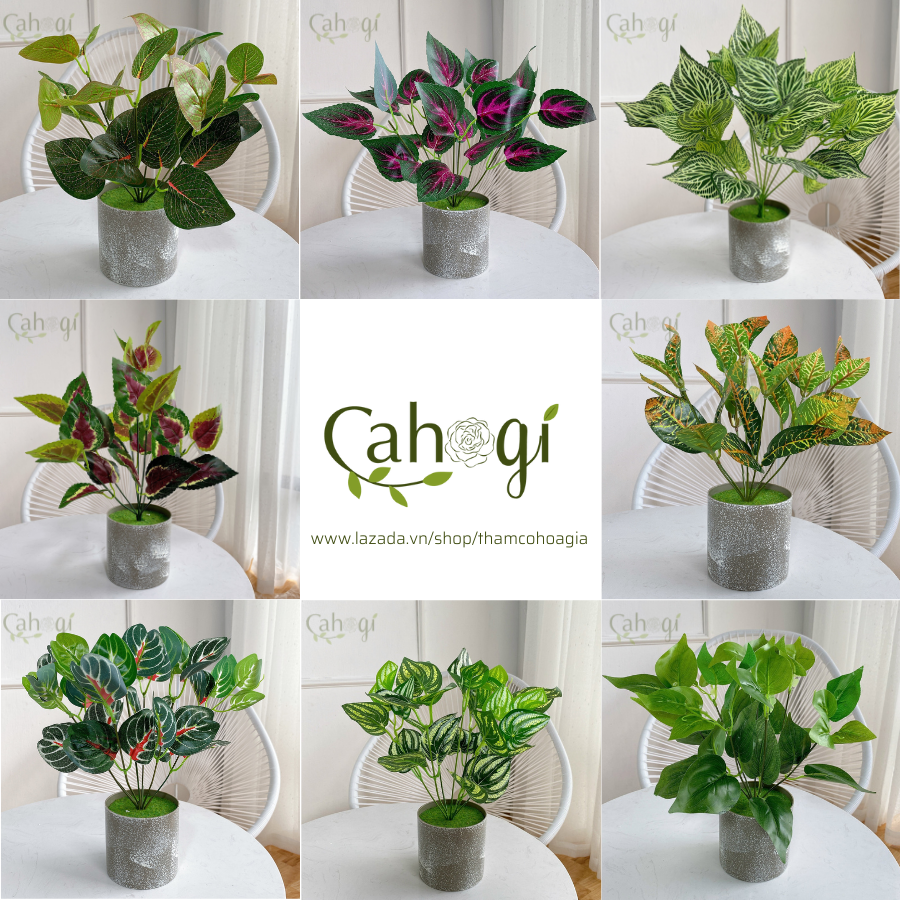 Cây giả cây trang trí cây vạn niên thanh lá vàng - cây tía tô - cây đuôi công - cây đuôi én - cây lá gấm - cây phong xanh bằng nhựa nhiều kích thước