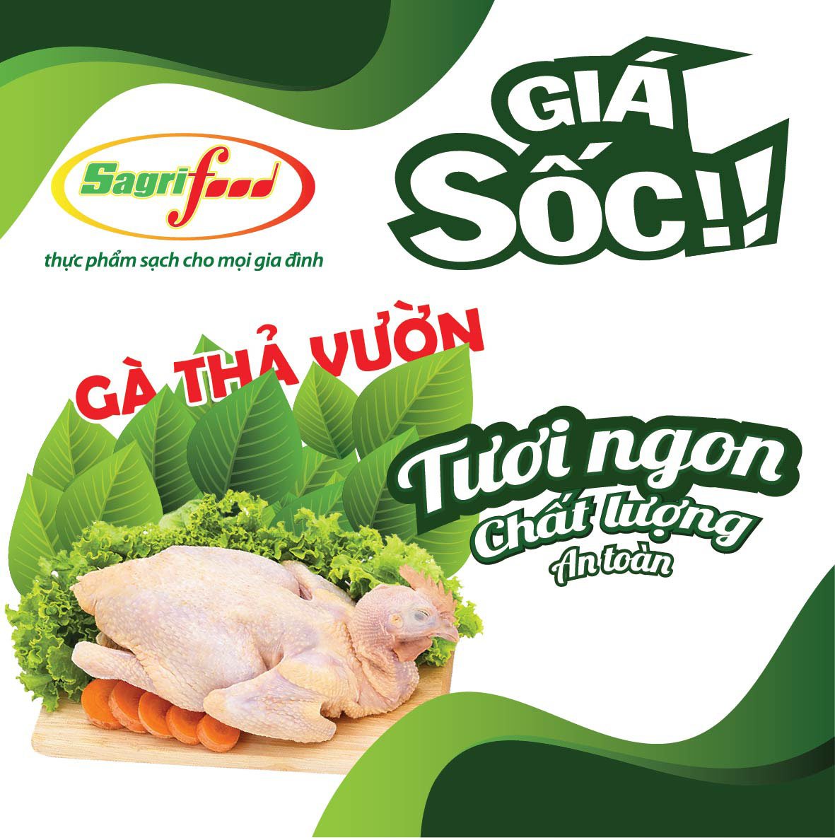 Gà thả vườn Vietgap -
