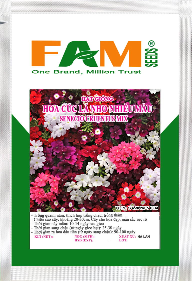 Hạt Giống Cúc Lá Nho (Vân Anh) Nhiều Màu - Gói 10 Hạt