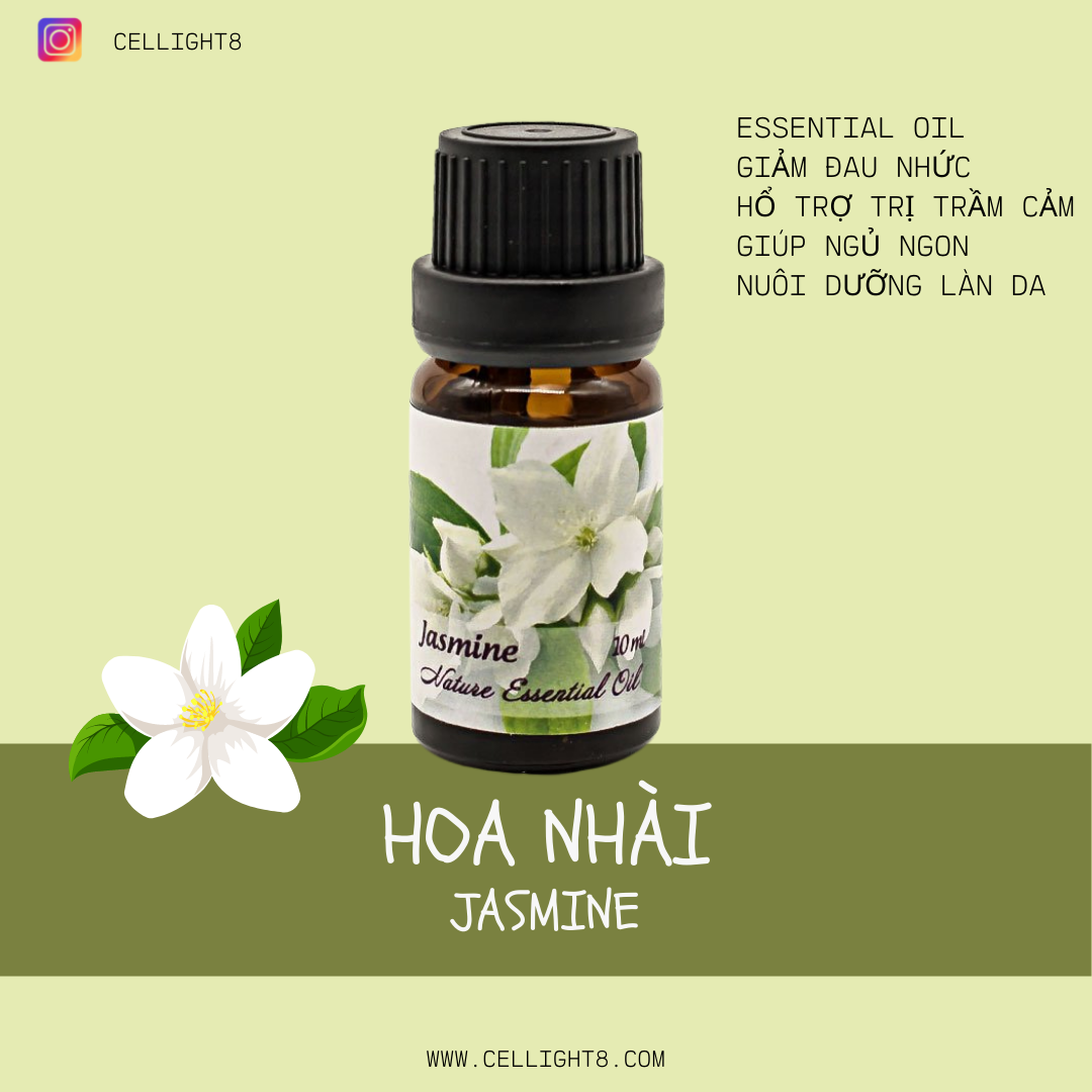 Tinh dầu hoa nhài - Jasmine Essential Oil