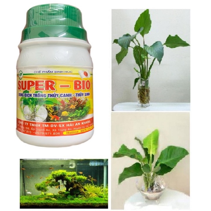 Dung dịch thủy canh trồng rau - bể thủy sinh super bio - chai 100ml