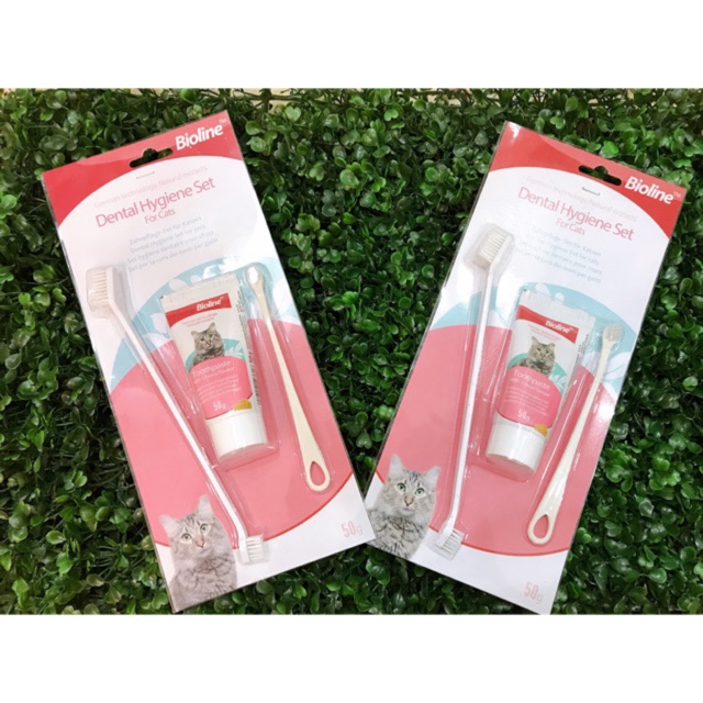 Kem đánh răng Bioline kèm bàn chải cho mèo 50g