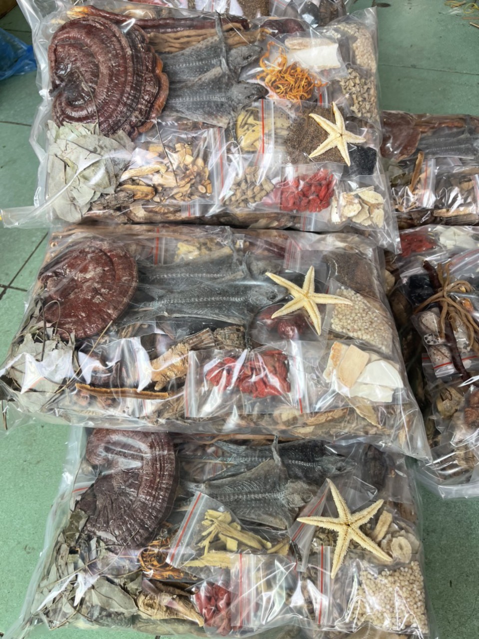 Minh Mạng Thang 35 vị đặc biệt có 2 tắc kè. Đồ ngâm rượu thuốc giúp bổ thận tráng dương, tăng cường 