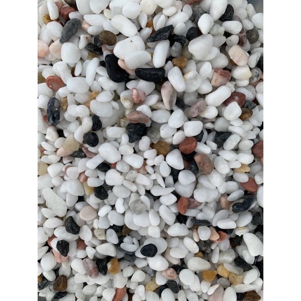 1kg Đá sỏi mix màu trang trí_Đá sỏi tự nhiên trang trí tiểu cảnh, khuôn viên