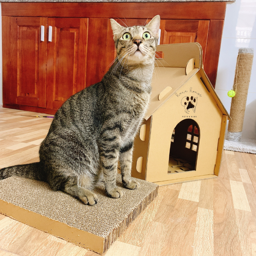 Combo NHÀ GIẤY CARTON + BÀN CÀO móng cho mèo | Nhà mèo kèm bàn cào móng | Nhà cho mèo | Ổ nằm kèm bàn cào cho mèo