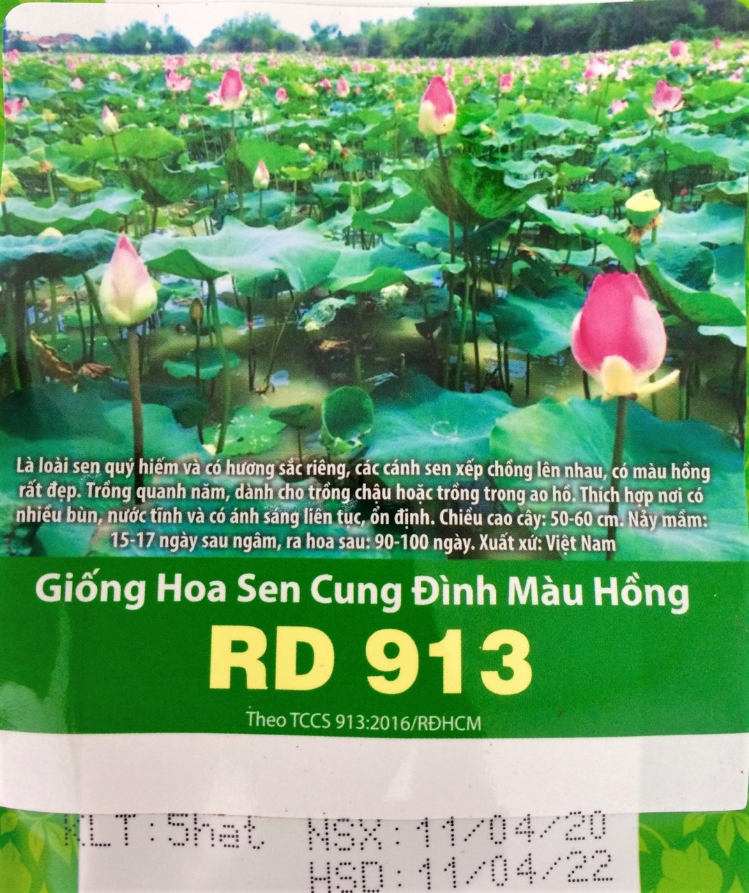 [HCM]hạt giống sen cung đình hồng sen -gói 5 hạt hàng công ty chất lượng cao