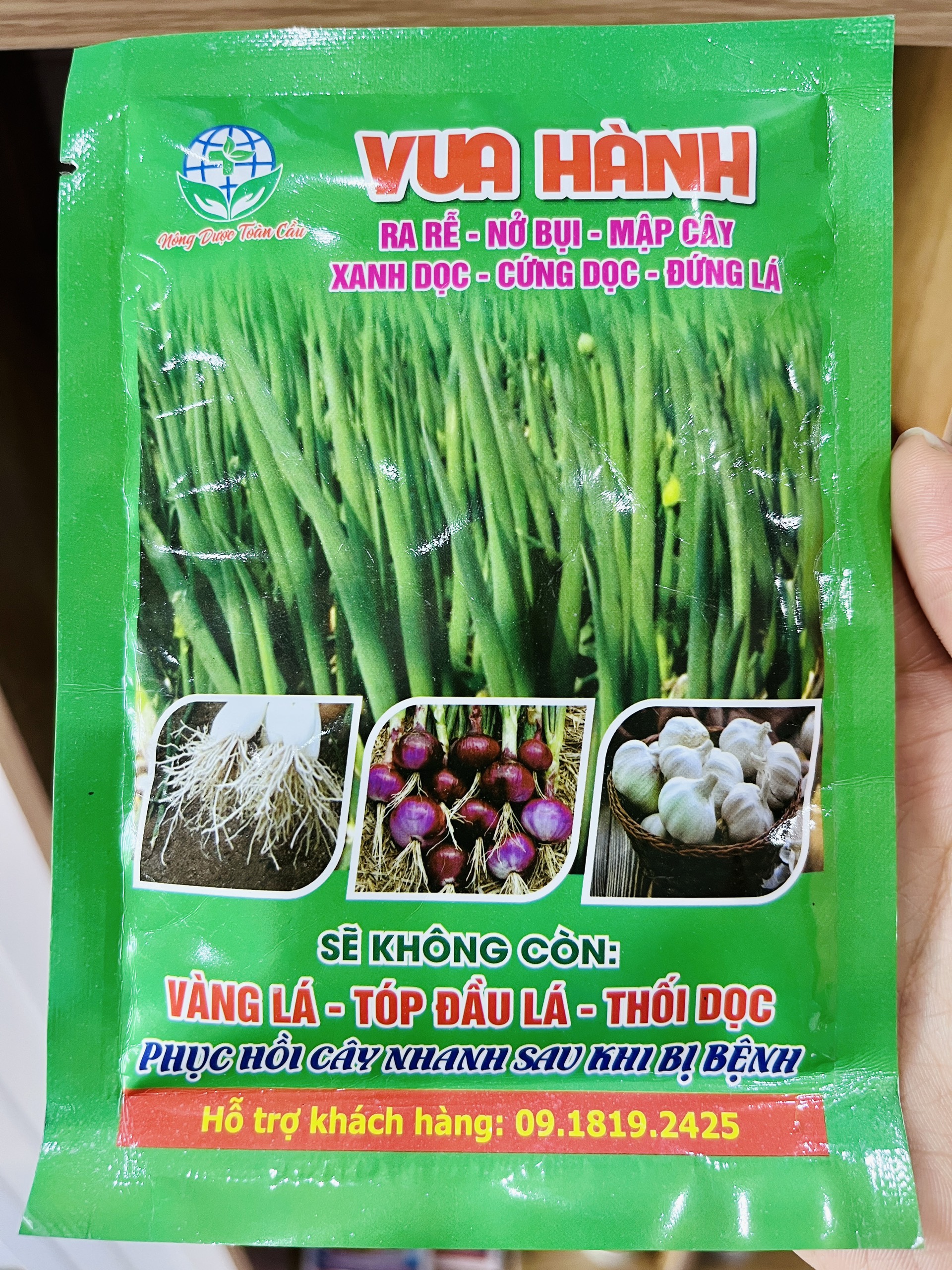 Vua hành - Cứng dọc, đứng lá, ngăn ngừa vàng lá, tóp đầu lá