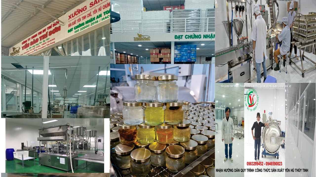 hướng dẫn nâng protein trong sản xuất yến