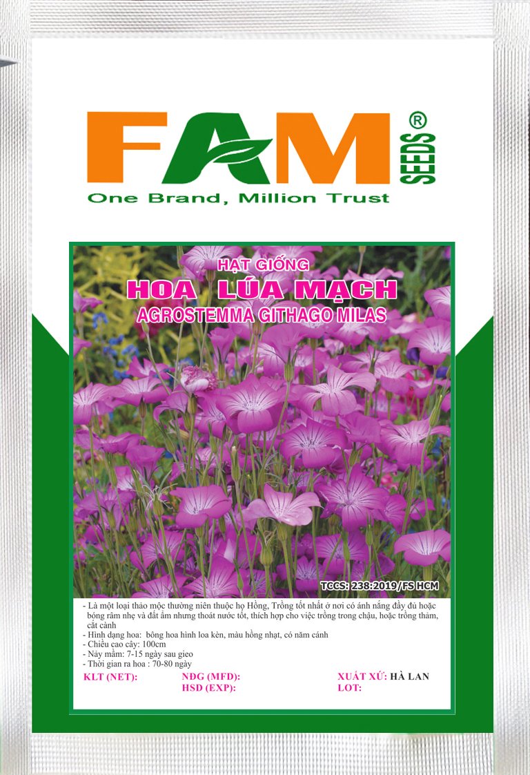 [HCM]Hạt Giống Hoa Lúa Mạch (Màu Hồng Tím) - Gói 0.5g