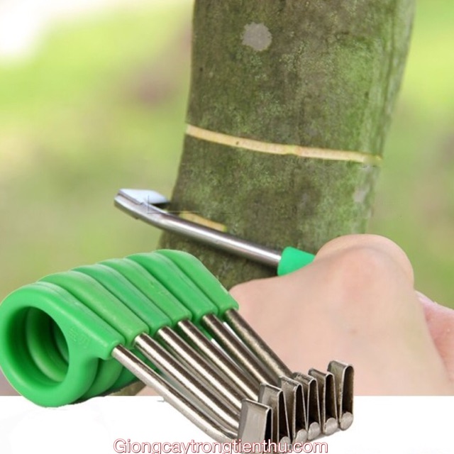 Dao khoanh vỏ cây trồng tt203