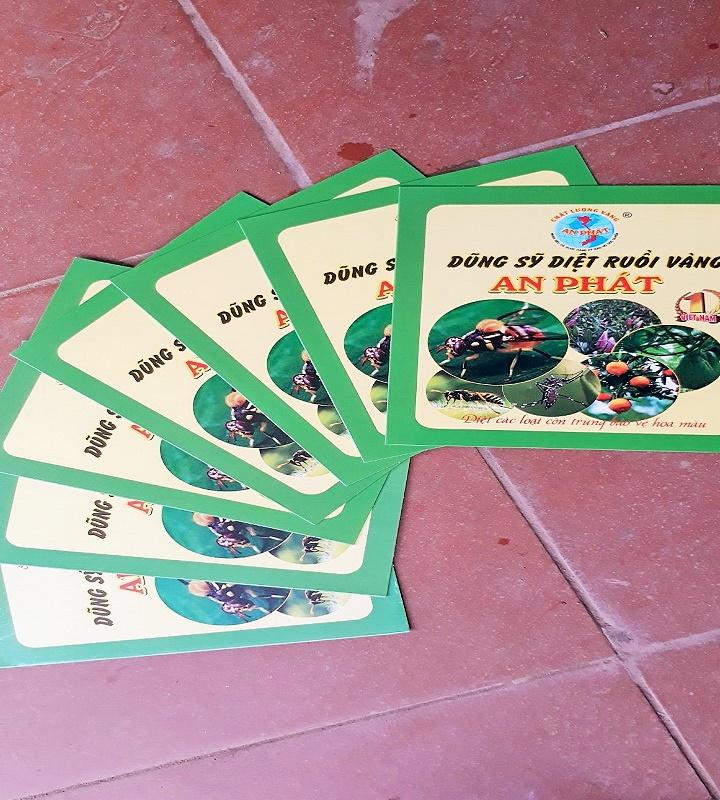 Combo 2 miếng Keo dính ruồi vàng An Phát giúp tiêu diệt côn trùng đốt lá, chích hút, đục quả gây nên thối quả, dòi quả