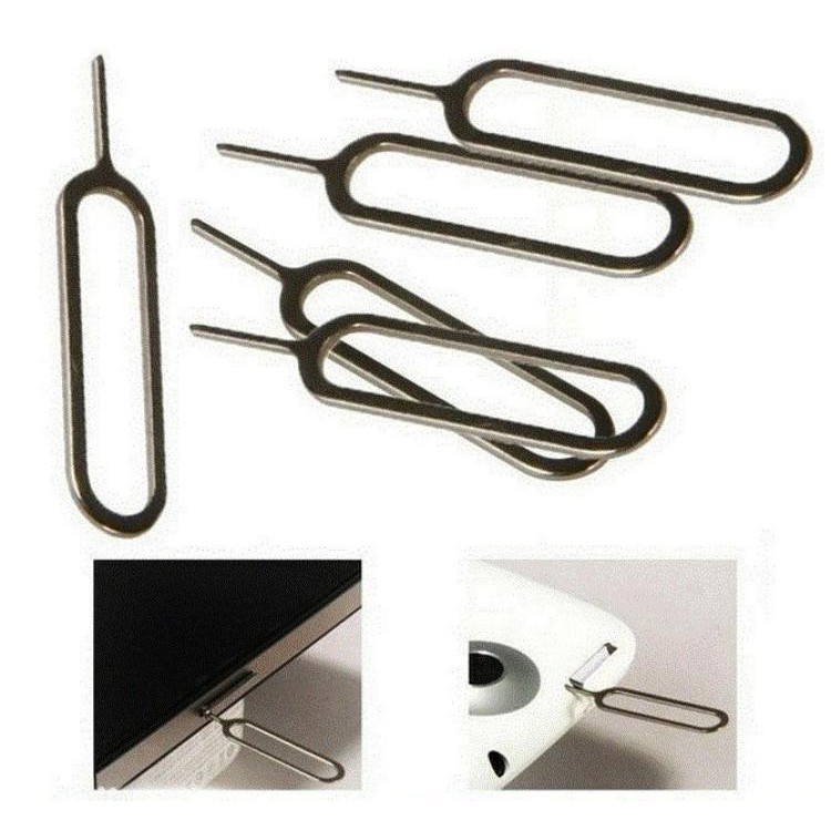 Que chọc sim - Que chọc sim