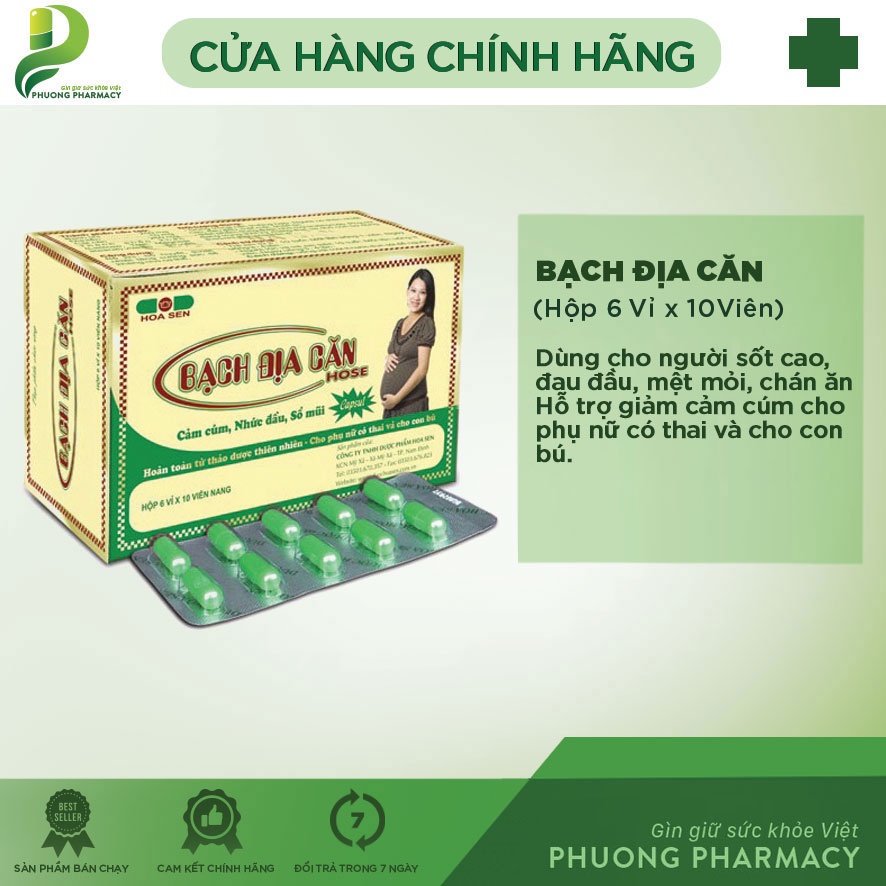 Bạch địa căn hỗ trợ giảm cảm cúm cho bà bầu hộp 100 viên P125