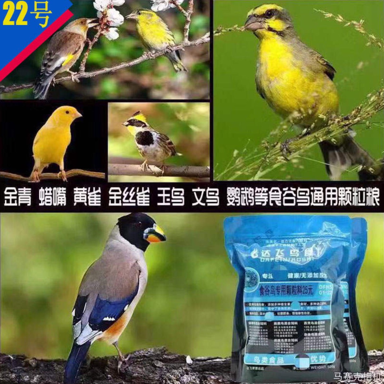 Cám cao cấp cho thạch yến siskin yến hót và các dòng sẻ...