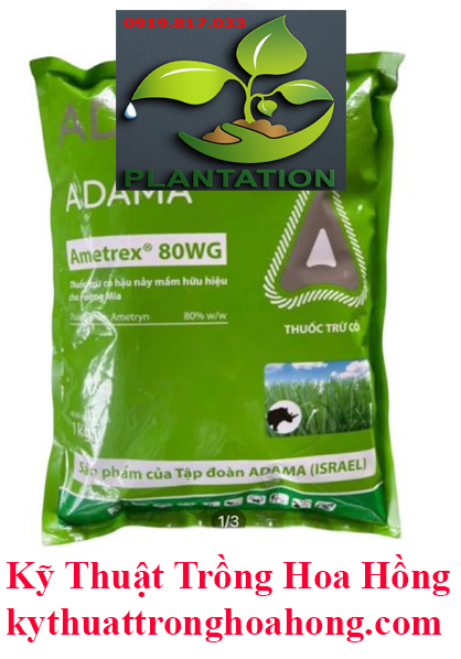 Ametrex 80WG