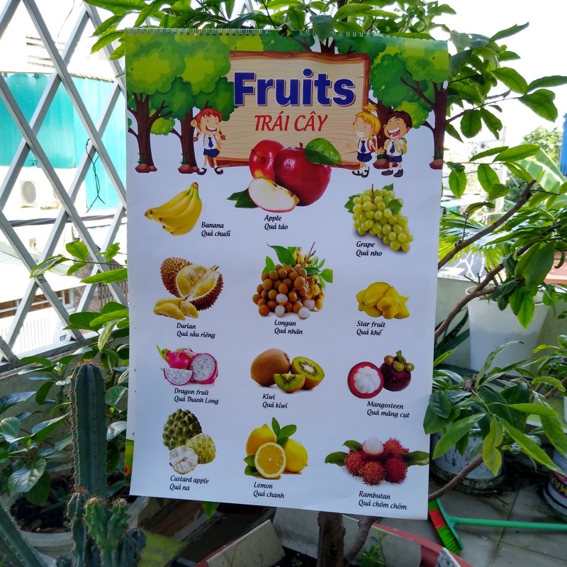 {HCM} Bảng chữ cái dán tường tiếng việt cho bé, tranh treo tường [ VPP Trí Đức ]