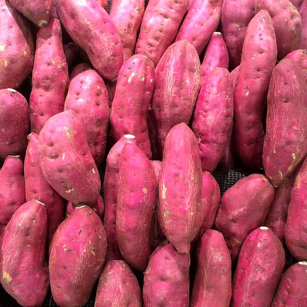 Combo 3 Kg Khoai Lang Nhật Dẻo - Đặc Sản Ngon Lành