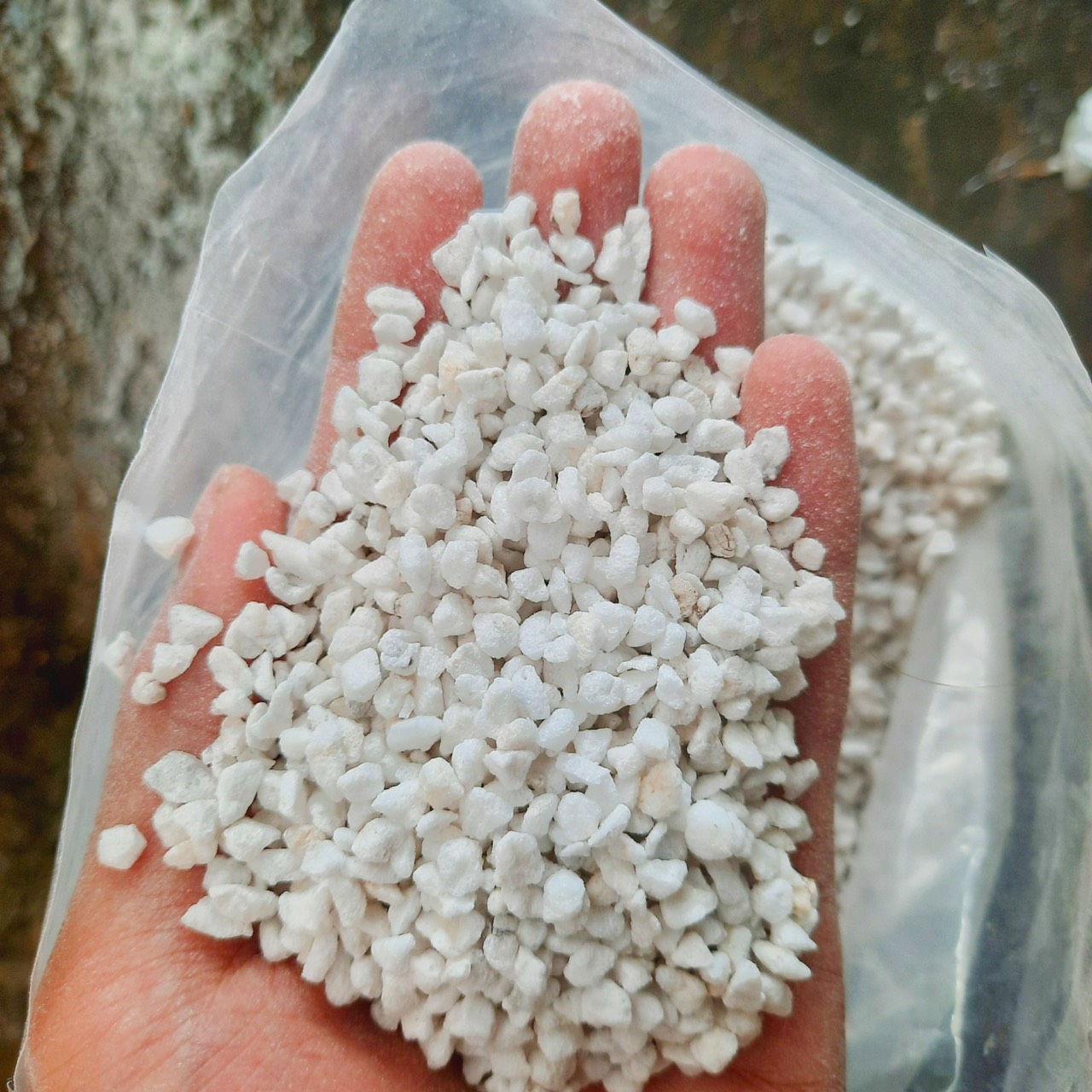 Đá Perlite giá thể trồng cây giúp thoát nước cực tốt
