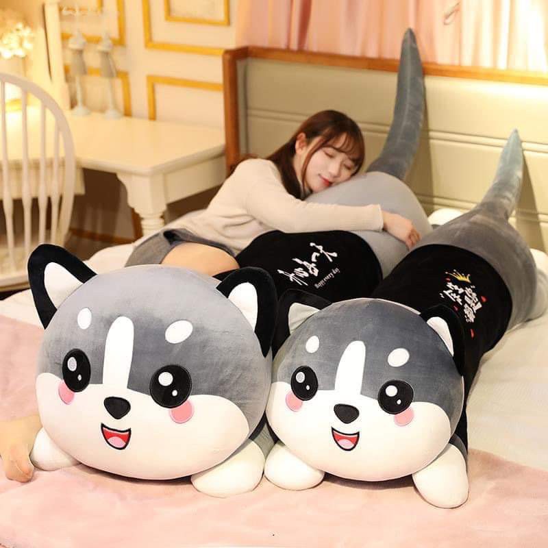 Gấu bông mèo xám dễ thương khổng lồ lông nhung bông mềm mịn - gấu bông husky - gb10