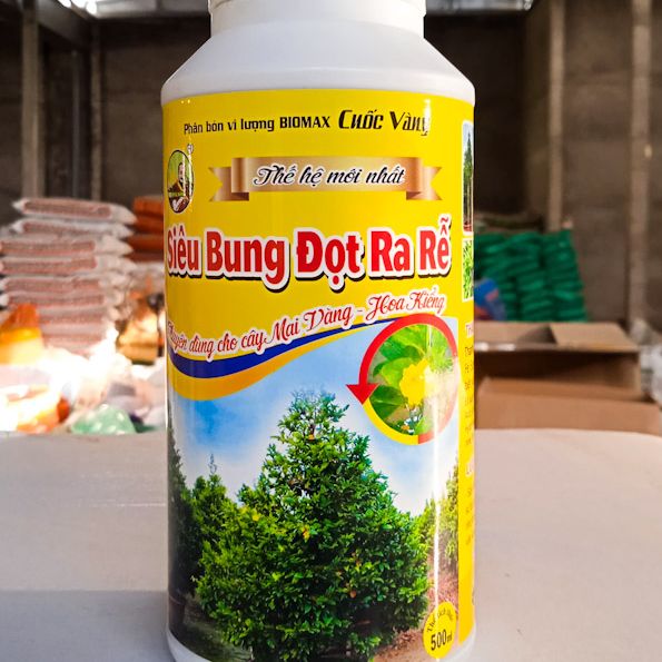 Phân bón cho mai vàng kích rễ bung chồi vọt đọt nở gốc xanh cây