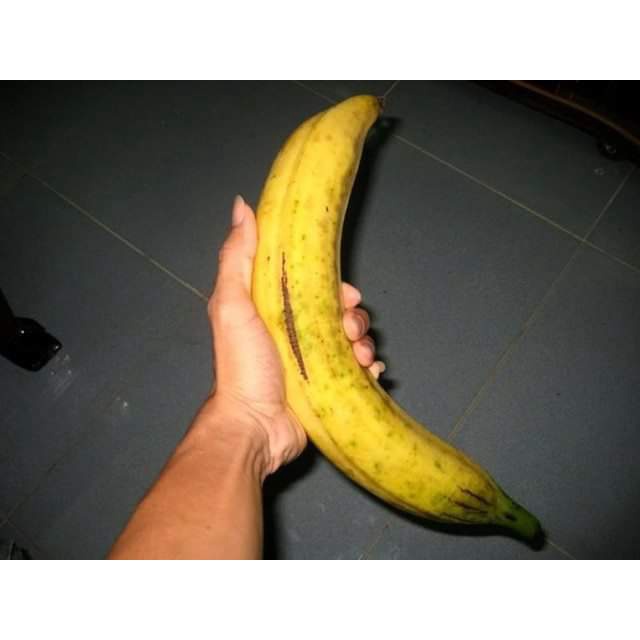 cAcwE1q4w7G4lePYEDea.jpg
