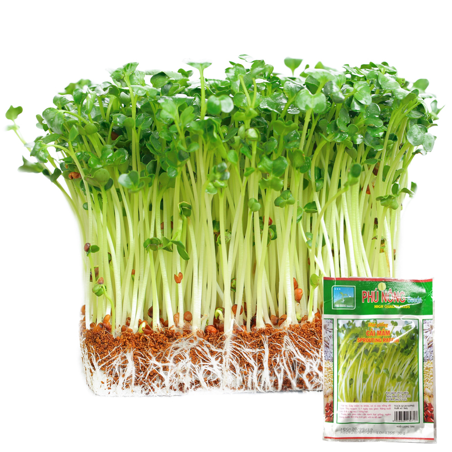 Hạt Giống Cải Mầm Phú Nông - Gói 100g - Nảy mầm nhanh, sinh trưởng mạnh VTNN Nông Điền Trang