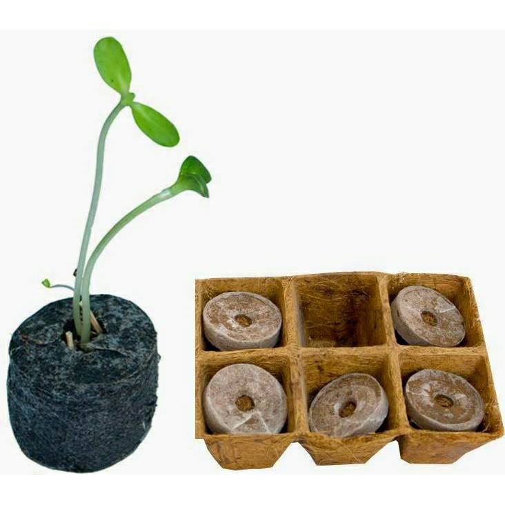 Viên nén ươm hạt mụn dừa_Viên sơ dừa nở ươm hạt giống, cây con