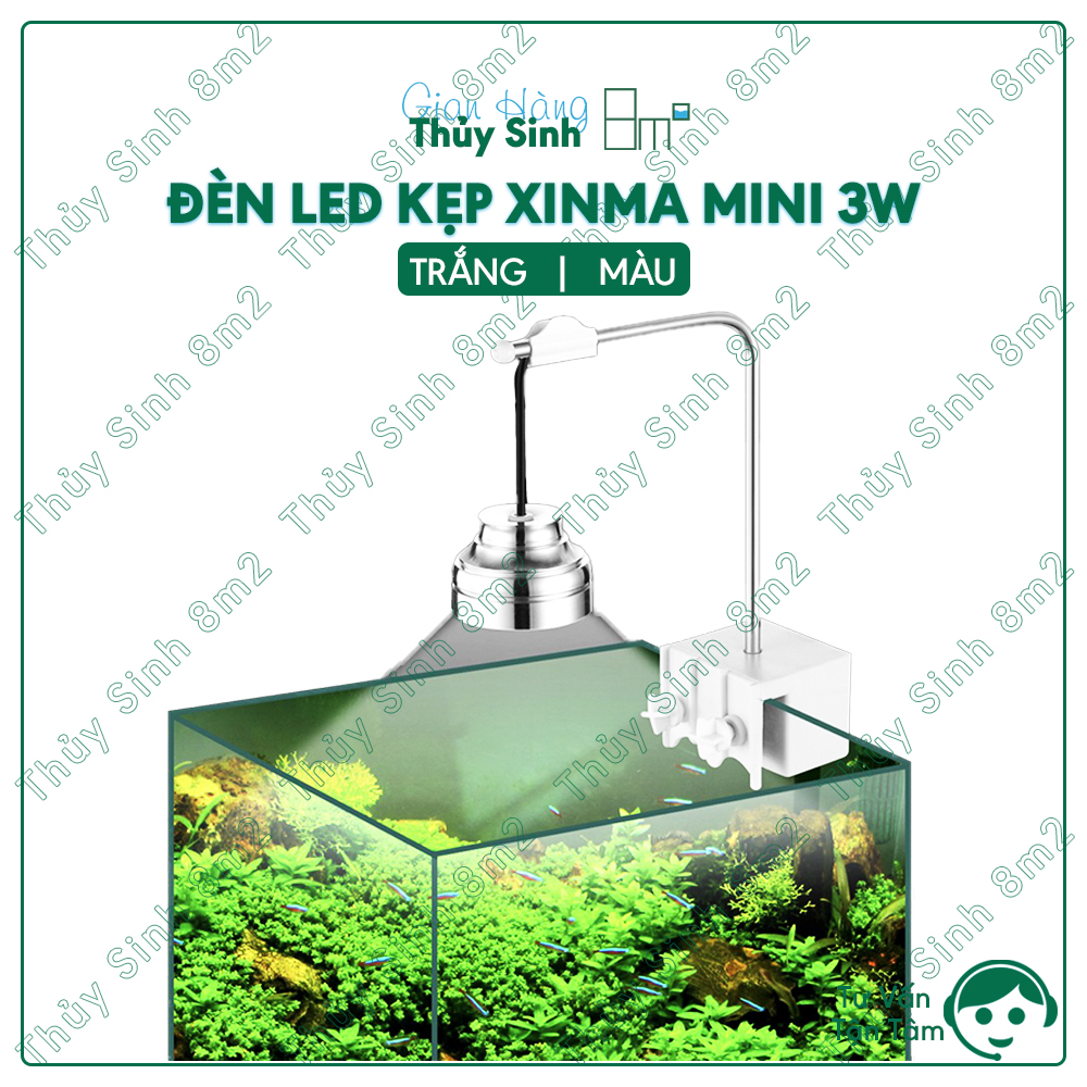 Đèn led kẹp xinma mini 3w | trắng, màu | 8m2
