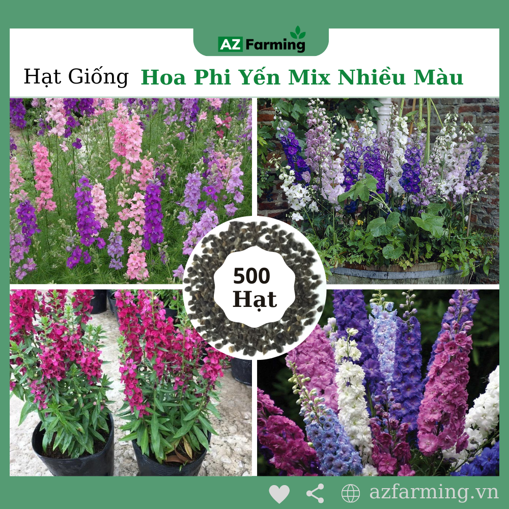 Hạt giống hoa phi yến nhiều màu - gói 200 hạt - az farming