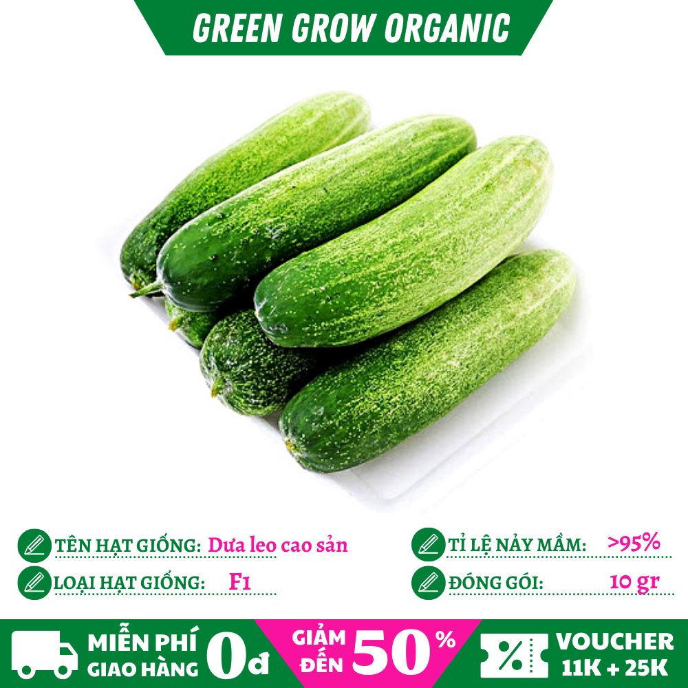 Hạt giống dưa leo siêu quả f1 hữu cơ hạt giống rau ms179 green grow organic
