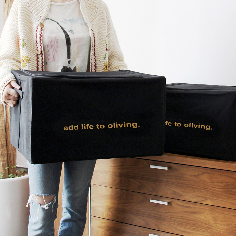 Combo 2 hộp vải lùn gấp gọn- Living box 88L