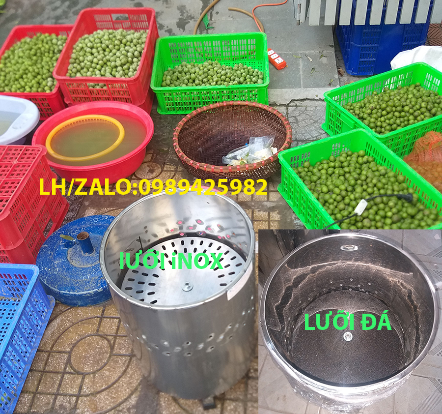 Máy cạo sấu,máy chà vỏ sấu,máy gọt cóc 80kg/h mô tơ 1.5 HP dây đồng