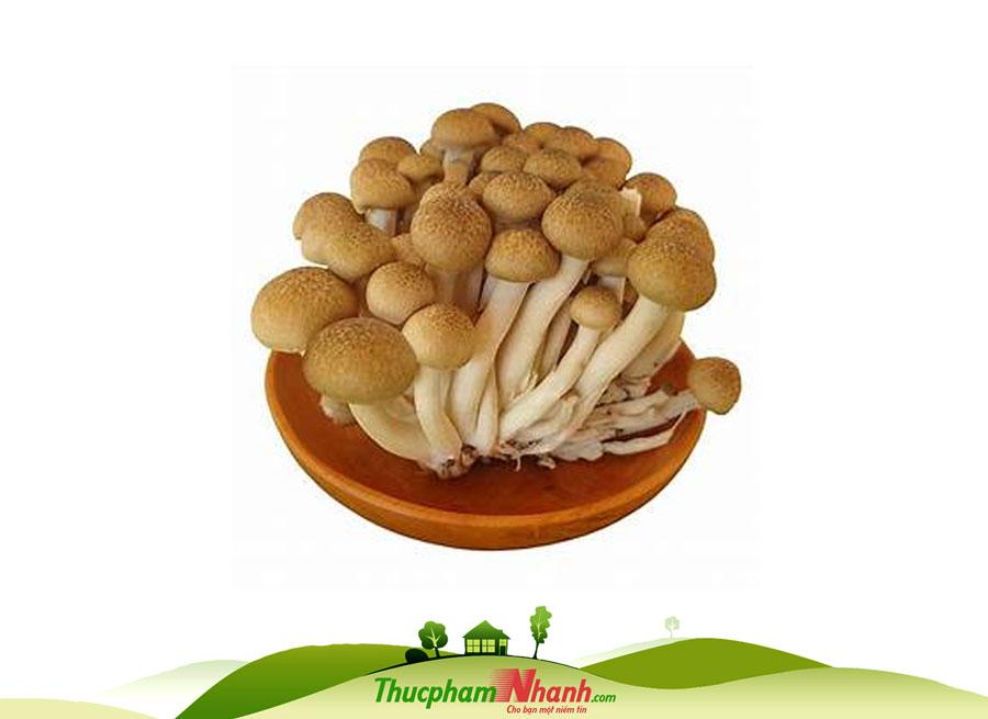 Nấm linh chi nâu - Gói 125g