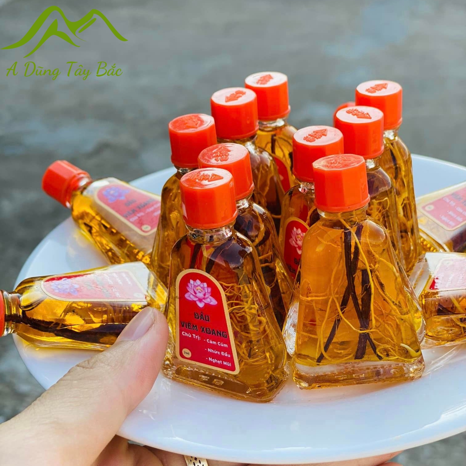 Dầu viêm xoang đông y thảo dược 7ml chính hiệu. Dầu viêm xoang, viêm mũi dị ứng có rễ