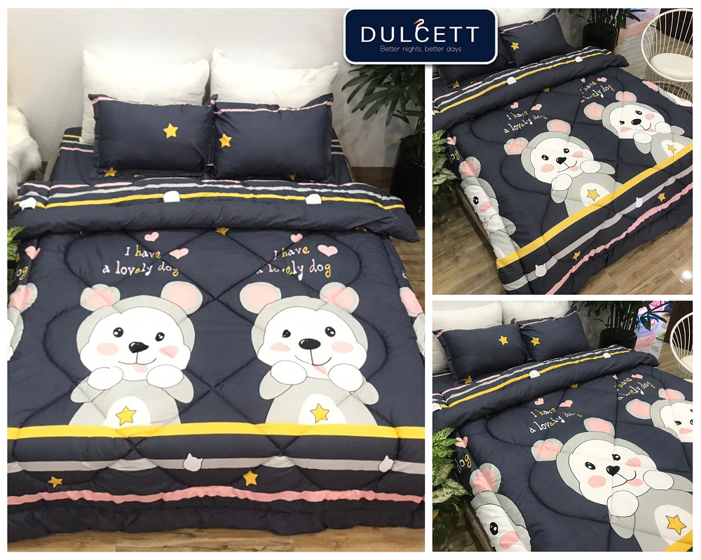 Bộ ga gối 3 món mã ch210